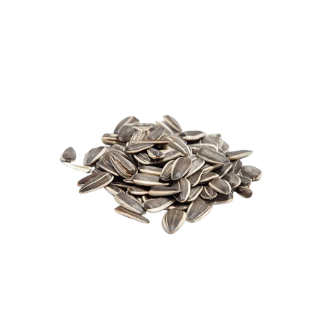 פיצוחים שוק רמלה גרעינים שחורים 180 גרם