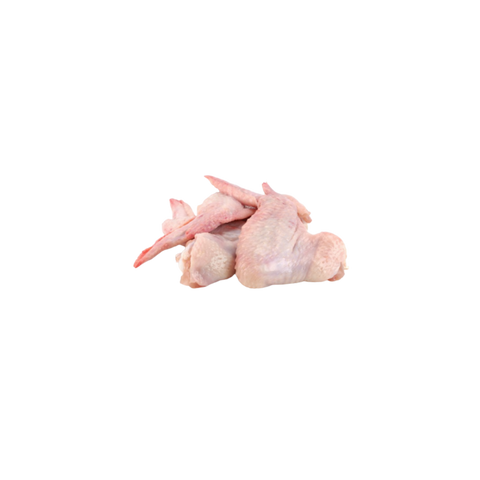 כנפיים
